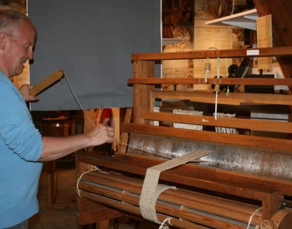 La laine : une histoire millénaire au cœur du savoir-faire humain