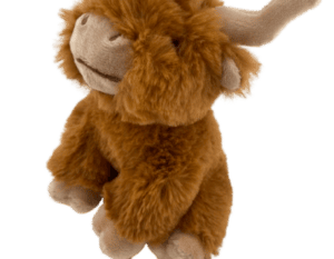 Vache Highland