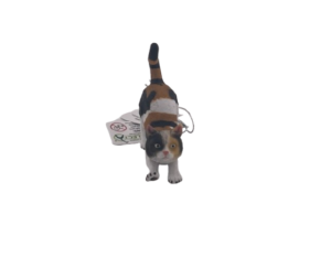 Figurine Chat